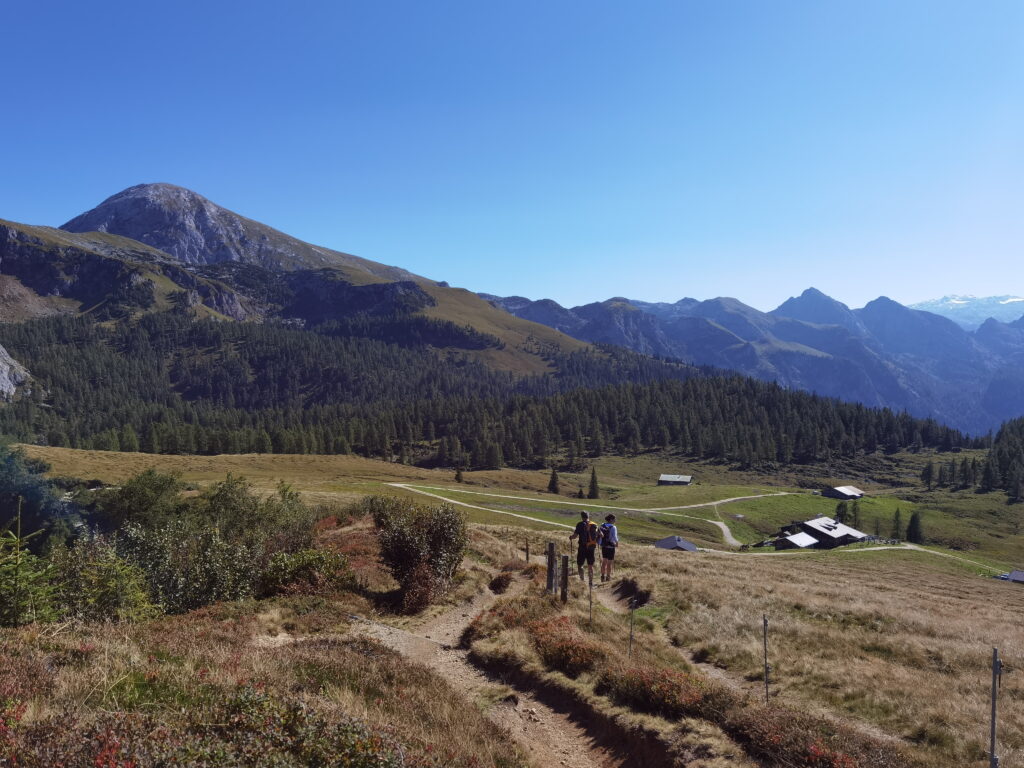 Auf der Gotzenalm in den Berchtesgadener Alpen