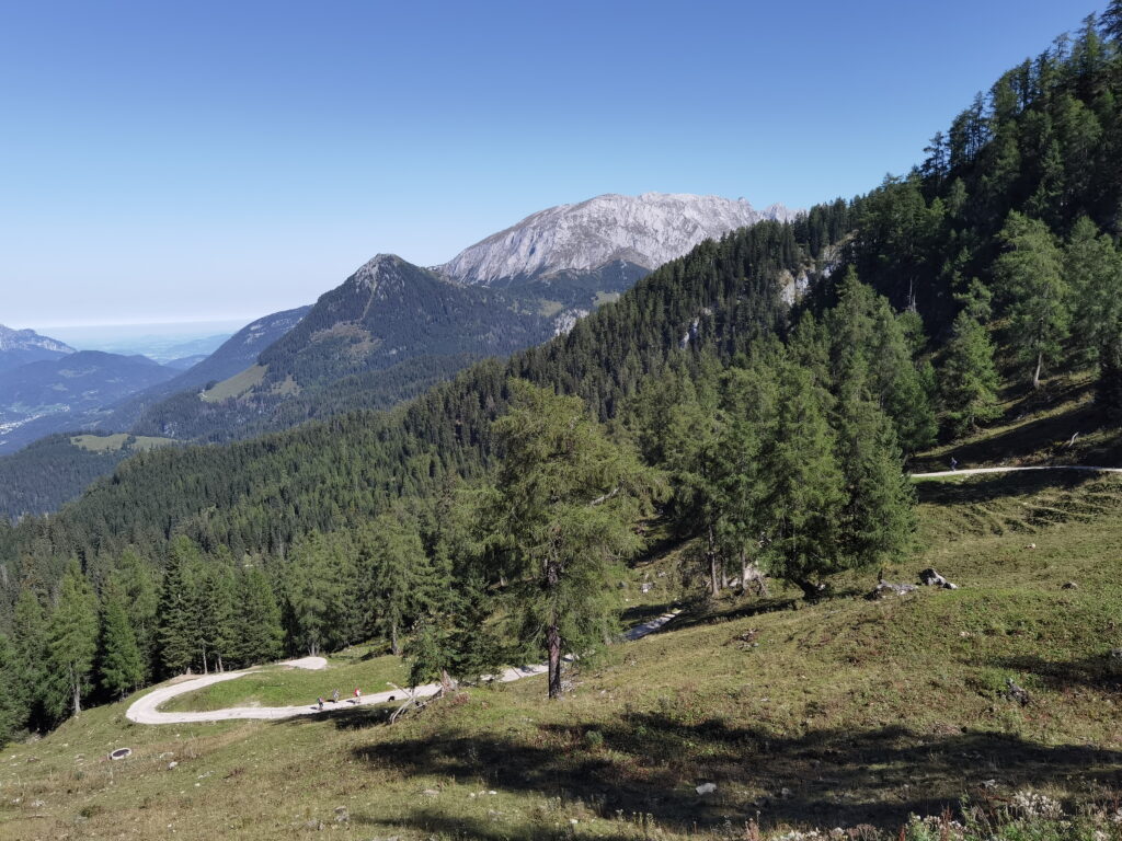 Gotzenalm Wanderung - über den Forstweg ab Schönau am Königssee