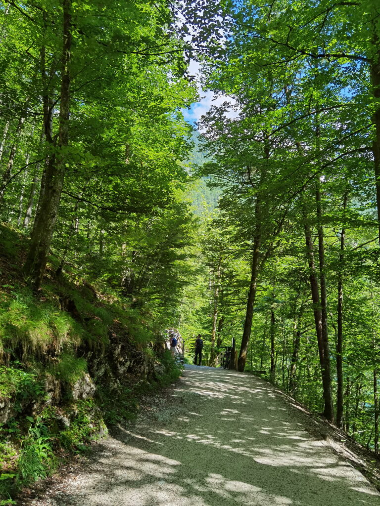 Malerwinkel Königssee Rundweg - eine leichte Wanderung auf breiten Wegen